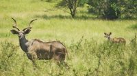 Key facts about tourism in Ethiopia