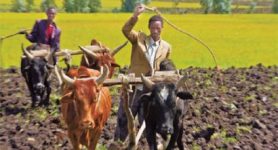Food insecurity in Ethiopia leads to inflation rise - report