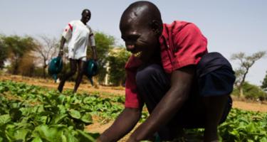 Innovations for rural transformation key says IFAD