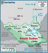 Amnesty urges UN Security Council to impose arms embargo on South Sudan