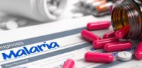Report calls for domestic financing solutions to fight malaria