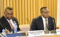 Foundation expresses doubt about realization ofAfrican free trade protocol