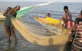 Experts set to discuss regional fisheries, aquaculture strategy