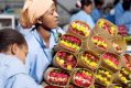 The fruits of doggy investments in Ethiopia for decades [OPINION]