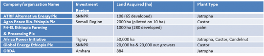 Why Ethiopia needs to investigate fake biofuel investments