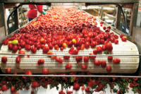 Return tax incentives or export Ethiopia warns agro-processors
