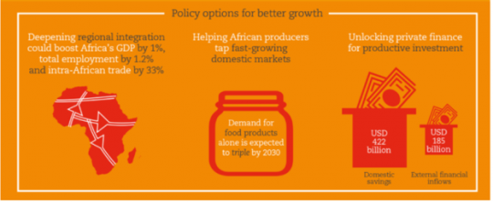 African Union launches Africa's Development Dynamics report