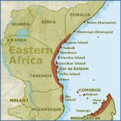 How the sea-based drug trade undermines democracy