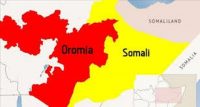 UN agency appeals to donors to help displaced people in Ethiopia