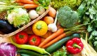 Addis Ababa gets organic vegetables restaurant