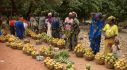 Smallholder farmers in Mali secure finance