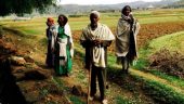 Moses in Egypt’s Pharaoh Palace and Rise of Ethiopia’s Moses in EPRDF
