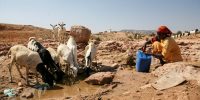 IBM researchers assist Kenya combat extreme drought conditions