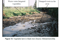 Ethiopia’s Paradoxical Narratives of Sanitation