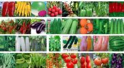 BASF acquires Bayer's vegetable seeds business