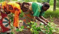Partners to drive finance to African smallholder farmers