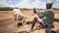 African countries get climate risk financing, insurance