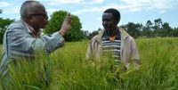 Lessons from Team Lemma’s bold action to end rural poverty in Ethiopia