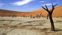 Africa climate meeting in progress in Nairobi