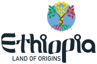 Ethiopia to start visa on arrival for all African citizens