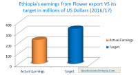 Ethiopia secures $229 from flower export achieving 68% target