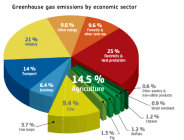 African countries get support to combat climate change
