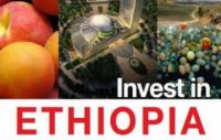 Ethiopia launches online investment guide
