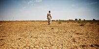 Empower women to help save Africa from climate change
