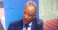Ethiopian shipping urges government to use its idle ships