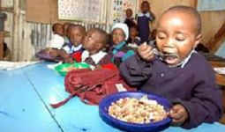 257 million people in Africa undernourished, UN says