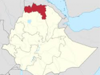 Ethiopia's Tigray collects $43 million tax