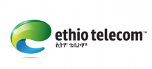Ethio Telecom gets priority for privatization