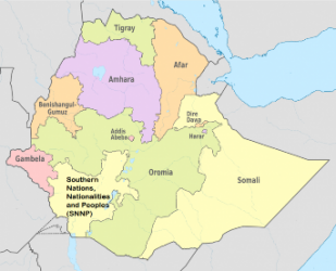 Ethiopian army takes over western, central Gondar security