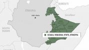Ethiopia’s rebel group abandons arm struggle