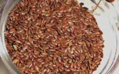 Israeli company to export processed sesame from Ethiopia