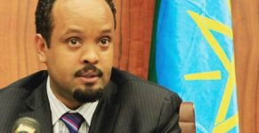 Ethiopia reforms aim boosting private sector participation