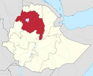 Armed men kill at least 16 people in Ethiopia