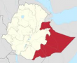 Ethiopia excludes 95 percent pre-primary age children in Somali