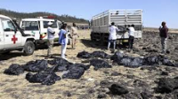 Ethiopian crashed plane findings disproved pilot error reports