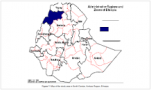 Acute water diarrhea outbreak kills 3 people in Ethiopia