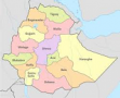 Is Ethiopia burying or currying Developmental State?