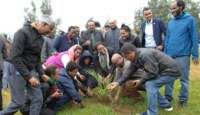 Ethiopia plants over 353 million trees in one day
