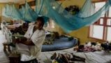 Treatment-resistant malaria: Are we winning the battle?