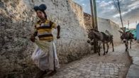 Smuggling donkeys from Ethiopia to Kenya increasing