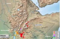Desert locust to hit Ethiopia again