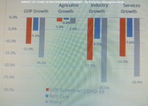 Ethiopia economy declines 11 percent by COVID-19