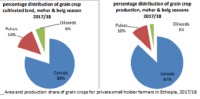 Opportunities to boost sesame production in Ethiopia