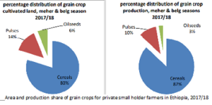 Opportunities to boost sesame production in Ethiopia