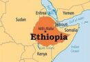 Ethiopia COVID-19 number increases to 655