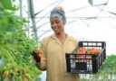 Ethiopia secures $400 million from horticulture export